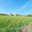 land for sale drousia paphos 1336429 thumbnail 2477098