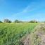 land for sale drousia paphos 1336429 thumbnail 2477099