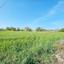 land for sale drousia paphos 1336429 thumbnail 2477101