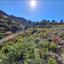 plot for sale kyperounta limassol 8931429 thumbnail 17612368