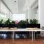 studio shop for rent agioi omologitai nicosia 8892429 thumbnail 17322377