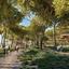 1 bedroom apartment for sale chrysopolitissa larnaca 7908529 thumbnail 14503268