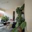 3 bedroom detached house for sale ypsonas limassol 7739529 thumbnail 11943260