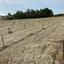land for sale anafotida larnaca 8863529 thumbnail 17168357