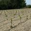 land for sale anafotida larnaca 8863529 thumbnail 17168360