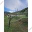 land for sale kampos nicosia 1813529 thumbnail 6268072