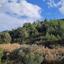 land for sale lythrodontas nicosia 1744529 thumbnail 4766168