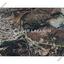 land for sale mosfiloti larnaca 1784529 thumbnail 14617892