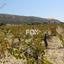 land for sale pissouri limassol 1146529 thumbnail 5496428