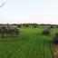 land for sale agios theodoros larnacas larnaca 1269629 thumbnail 13152806