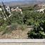 3 bedroom detached house for sale theletra paphos 7513729 thumbnail 9391471
