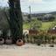 4 bedroom detached house for sale moni limassol 1786729 thumbnail 16566978