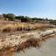 land for sale peyia paphos 7812729 thumbnail 12695888