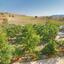 2 bedroom bungalow for sale souskiou paphos 8529829 thumbnail 15457637