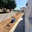 5 bedroom detached house for rent timi paphos 8908829 thumbnail 17411616