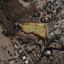 land for sale agios tychonas limassol 1758829 thumbnail 9675800