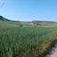 land for sale kato moni nicosia 1890829 thumbnail 7140992