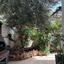 3 bedroom detached house for sale aradippou larnaca 8868929 thumbnail 17188326
