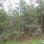 land for sale pigenia nicosia 945929 thumbnail 7641260