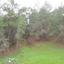 land for sale pigenia nicosia 945929 thumbnail 7641261