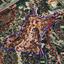 land for sale peyia paphos 823039 thumbnail 16700784
