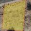 plot for sale livadia larnacas larnaca 8748039 thumbnail 16460045