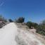 5686 SQM Land for sale in Koili, Paphos thumbnail 16276490