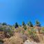 land for sale fterikoudi nicosia 1279139 thumbnail 15600185
