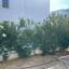 2 bedroom detached house for sale kato paphos universal paphos 8395239 thumbnail 16690467