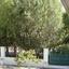 5 bedroom detached house for sale faneromeni larnaca 1928239 thumbnail 17208295