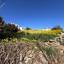 land for sale neo chorio paphos 8509239 thumbnail 15574485