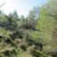 land for sale psevdas larnaca 8630239 thumbnail 15871903