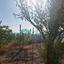 plot for sale ora larnaca 8785239 thumbnail 16647175