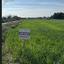 6395 SQM Plot for sale in Psematismenos, Larnaca thumbnail 16122802