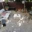3 bedroom detached house for sale agios dometios nicosia 1729339 thumbnail 5541490