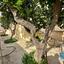 5 bedroom detached house for sale pyrga larnaca 7931339 thumbnail 11264021
