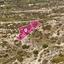 land for sale psematismenos larnaca 8629339 thumbnail 15867377