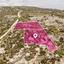 land for sale psematismenos larnaca 8629339 thumbnail 15867379