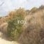 land for sale agios ambrosios limassol 1159439 thumbnail 14456013