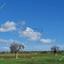 land for sale peristerona lefkosias nicosia 8281439 thumbnail 14087311