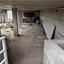 3 bedroom detached house for rent mesogi paphos 8645539 thumbnail 16280023
