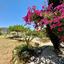 5 bedroom detached house for sale mathikoloni limassol 7738539 thumbnail 14111556
