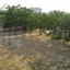 3 bedroom bungalow for sale aradippou larnaca 7870739 thumbnail 11379157