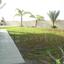 3 bedroom bungalow for sale aradippou larnaca 7870739 thumbnail 11379162