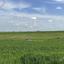 land for sale peristerona lefkosias nicosia 8726739 thumbnail 16333608