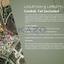 plot for sale kalavasos larnaca 8101739 thumbnail 13213516