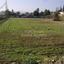 plot for sale psimolofou nicosia 1150739 thumbnail 5121483
