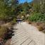 7256 SQM Land for sale in Kaminaria, Limassol thumbnail 14153471