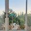 3 bedroom apartment for rent paphos municipality paphos 8467839 thumbnail 15179533