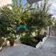 4 bedroom semi detached house for sale makedonitissa nicosia 7948839 thumbnail 15875676